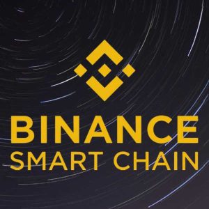 اتصال لجر به شبکه هوشنمد بایننس یا binance smart chain