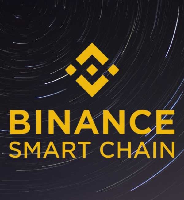 اتصال لجر به شبکه هوشنمد بایننس یا binance smart chain