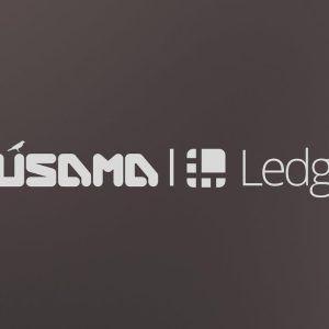 ledgernano post template 3 9