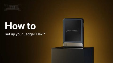 ledger flex setup