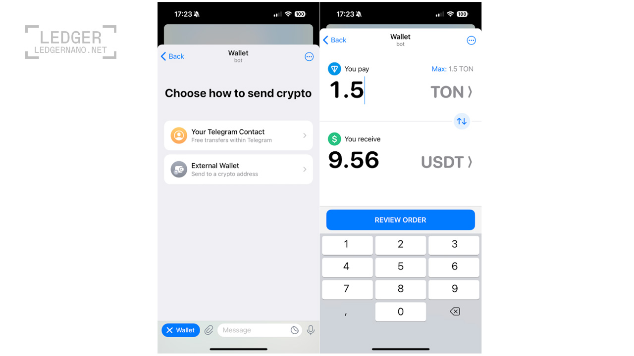 ledgernano post template 5